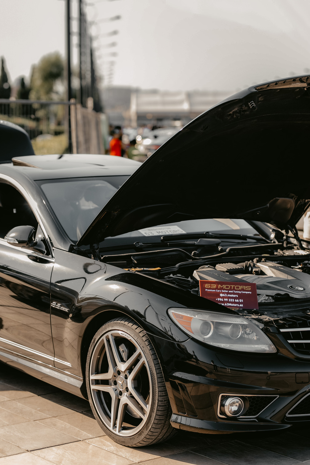 Luxury Performance Cars